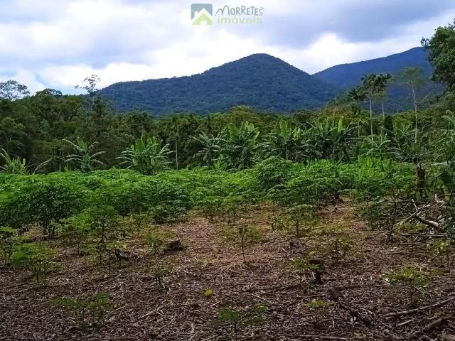 Terreno / Lote para Venda em Guaraqueçaba/PR Vila Itaqui