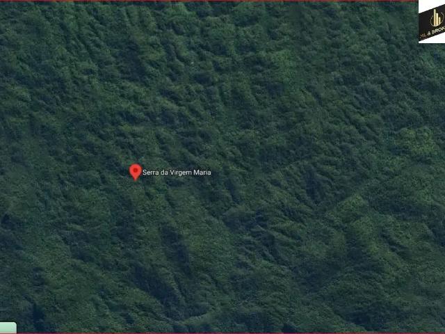 Terreno / Lote para Venda em Guaraqueçaba/PR Zona Rural