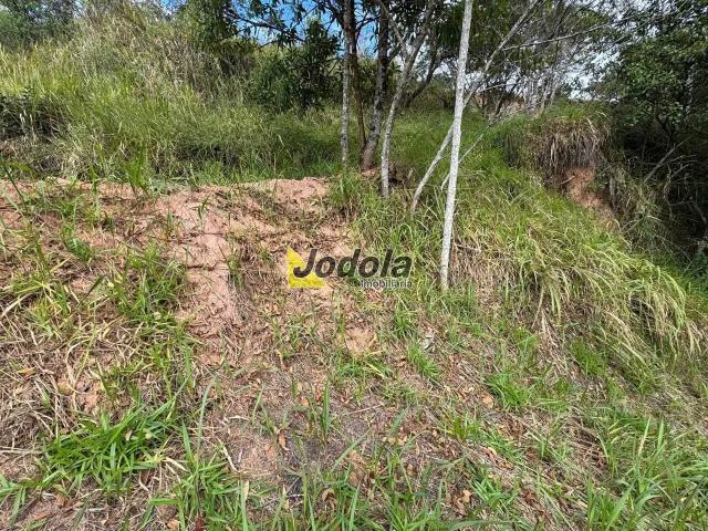 Terreno / Lote para Venda em Guararema/SP Zona Rural