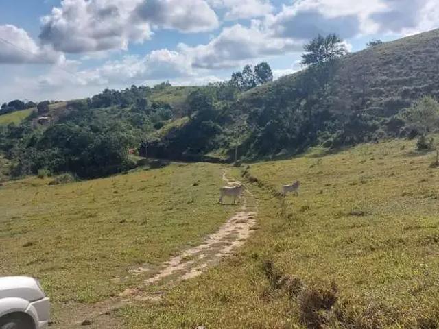Terreno / Lote para Venda em Guararema/SP Ajuda
