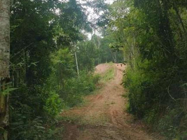Terreno / Lote para Venda em Guararema/SP Capoeirinha