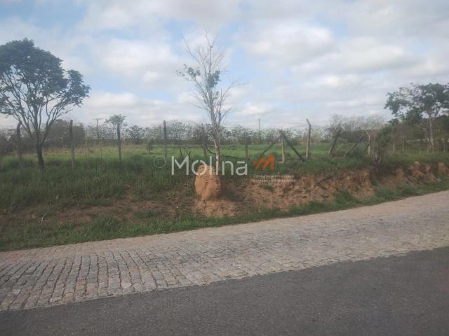 Terreno / Lote para Venda em Guararema/SP Centro