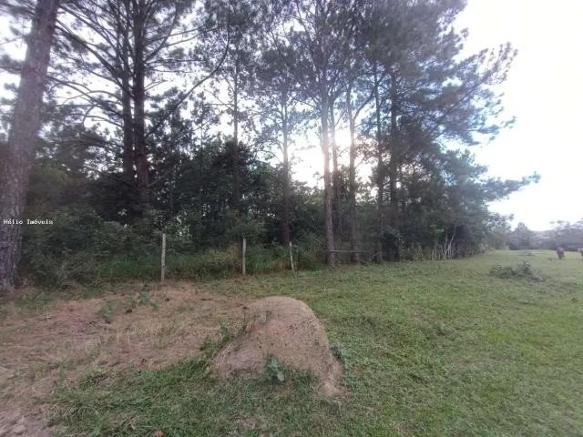 Terreno / Lote para Venda em Guararema/SP Parque Agrinco