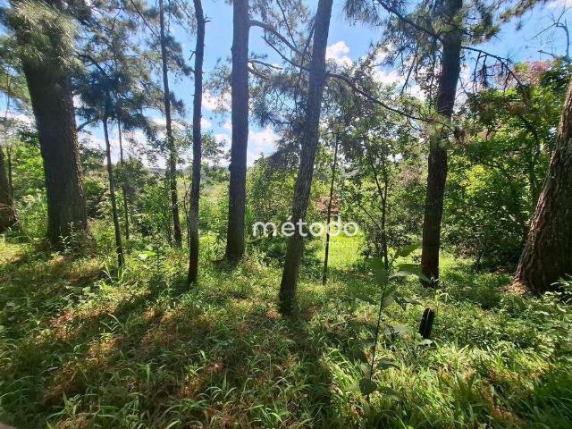 Terreno / Lote para Venda em Guararema/SP Parque Agrinco