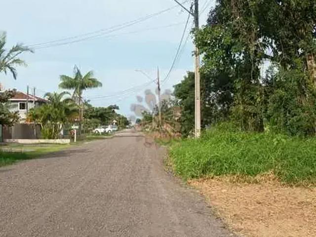 Terreno / Lote para Venda em Guaratuba/PR Balneário Eliane
