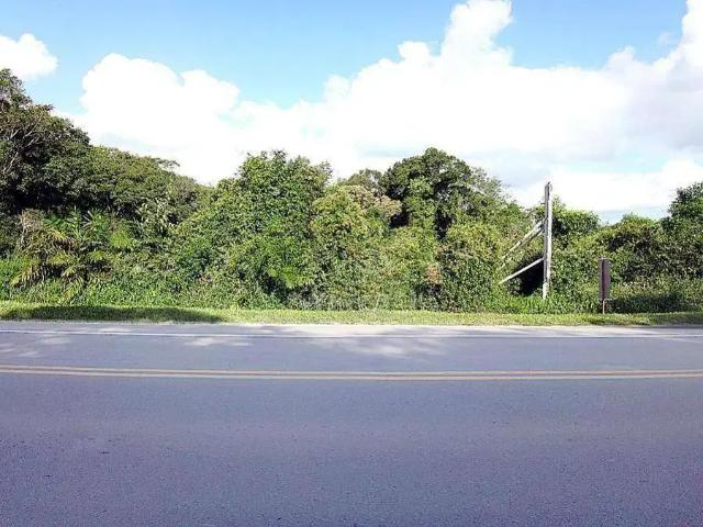 Terreno / Lote para Venda em Guaratuba/PR Balneário Eliane