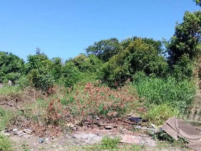 Terreno / Lote para Venda em Guaratuba/PR Balneário Eliane