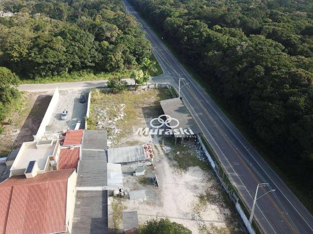 Terreno / Lote para Venda em Guaratuba/PR Balneário Eliane