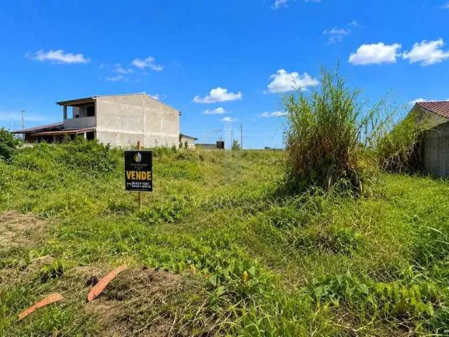 Terreno / Lote para Venda em Guaratuba/PR Balneário Nereidas