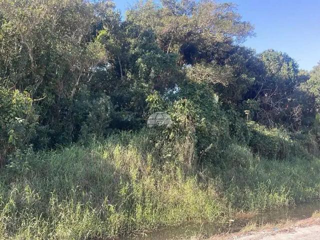Terreno / Lote para Venda em Guaratuba/PR Brejatuba
