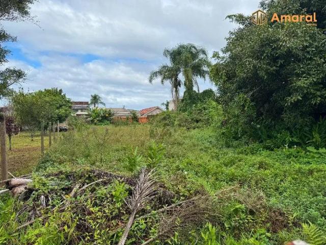 Terreno / Lote para Venda em Guaratuba/PR Centro