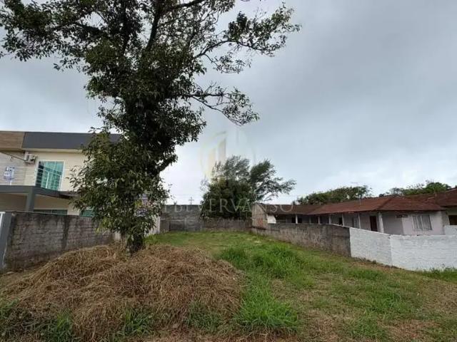Terreno / Lote para Venda em Guaratuba/PR Coroados