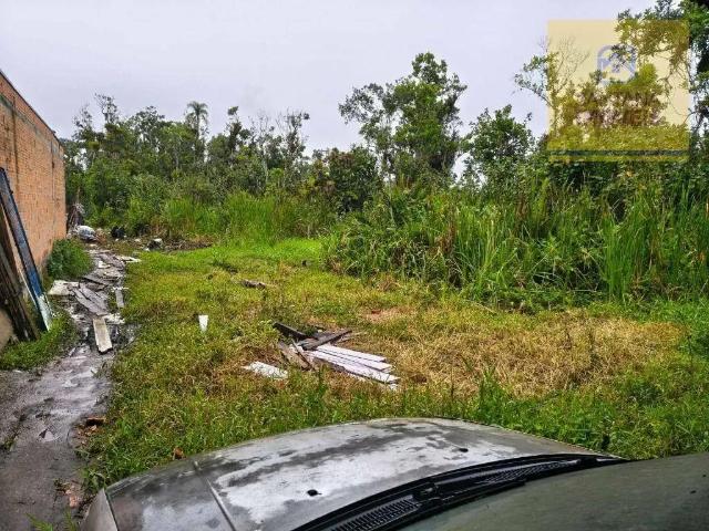 Terreno / Lote para Venda em Guaratuba/PR Coroados