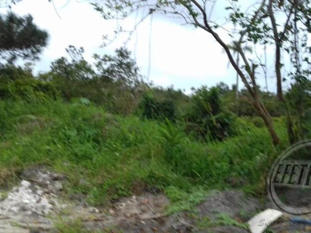 Terreno / Lote para Venda em Guaratuba/PR Coroados