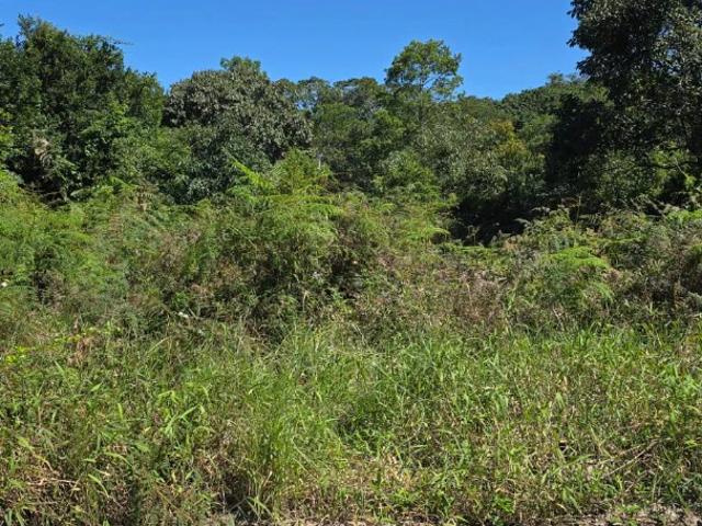 Terreno / Lote para Venda em Guaratuba/PR Nereidas
