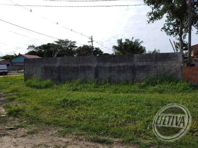 Terreno / Lote para Venda em Guaratuba/PR Nereidas