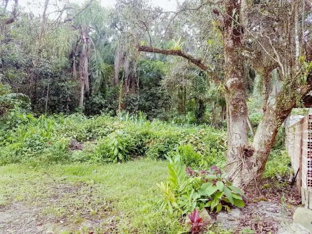 Terreno / Lote para Venda em Guaratuba/PR Prainha