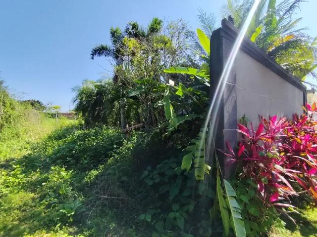 Terreno / Lote para Venda em Guarujá/SP Balneário Praia do Pernambuco