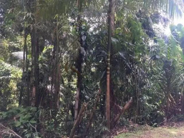 Terreno / Lote para Venda em Guarujá/SP Balneario Praia do Perequê