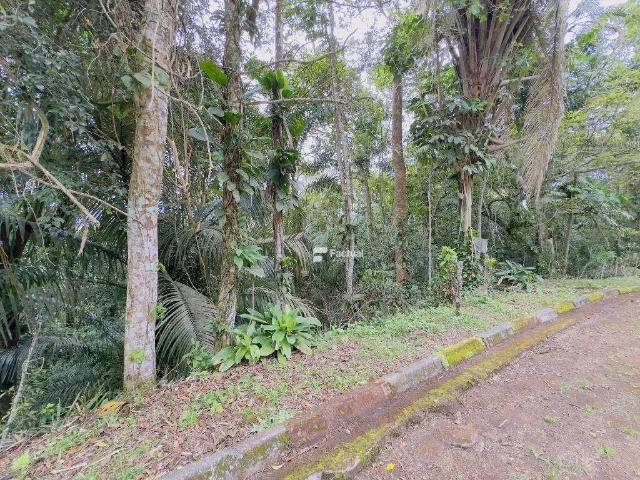 Terreno / Lote para Venda em Guarujá/SP Morro Sorocotuba