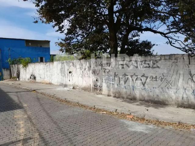 Terreno / Lote para Venda em Guarulhos/SP Vila Branca