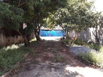 Terreno / Lote para Venda em Guarulhos/SP Vila Galvão