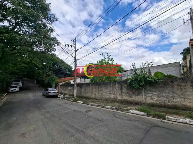 Terreno / Lote para Venda em Guarulhos/SP Vila Galvão 2 Quartos