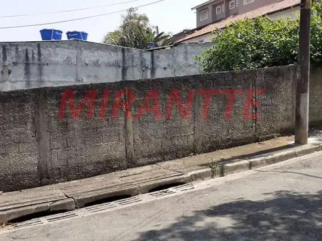 Terreno / Lote para Venda em Guarulhos/SP Vila Galvão 2 Quartos