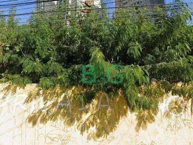 Terreno / Lote para Venda em Guarulhos/SP Vila Rosália