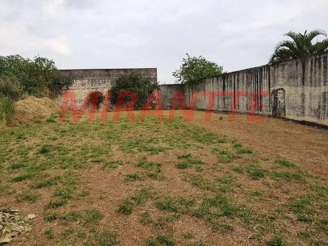 Terreno / Lote para Venda em Guarulhos/SP Vila Rosália