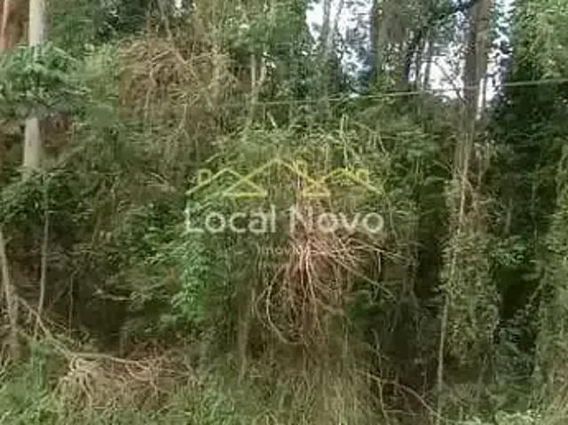Terreno / Lote para Venda em Guarulhos/SP Bonsucesso