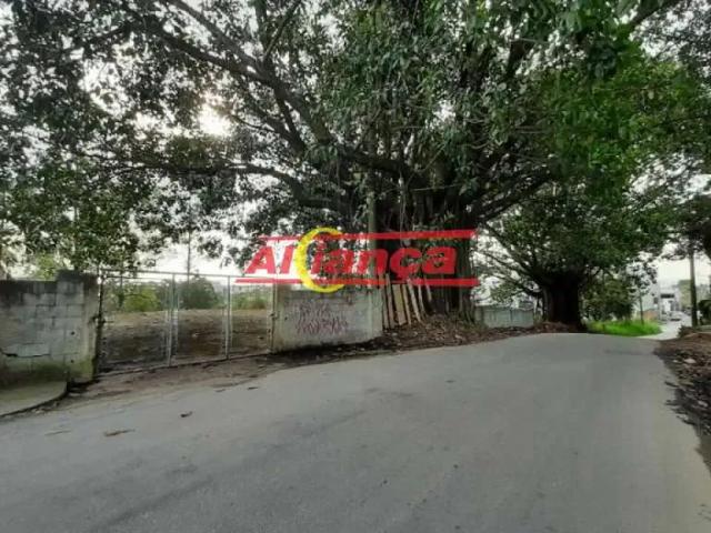 Terreno / Lote para Venda em Guarulhos/SP Cidade Aracilia