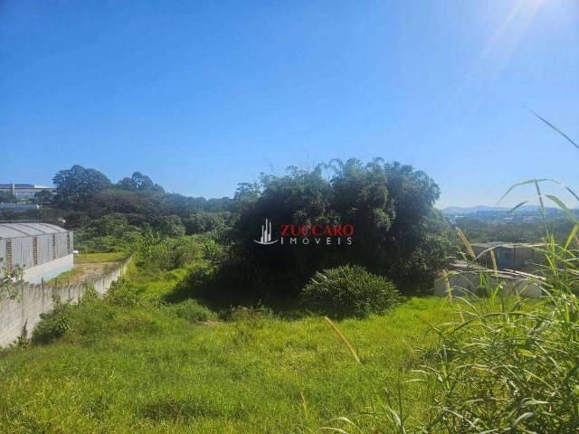 Terreno / Lote para Venda em Guarulhos/SP Cidade Aracilia