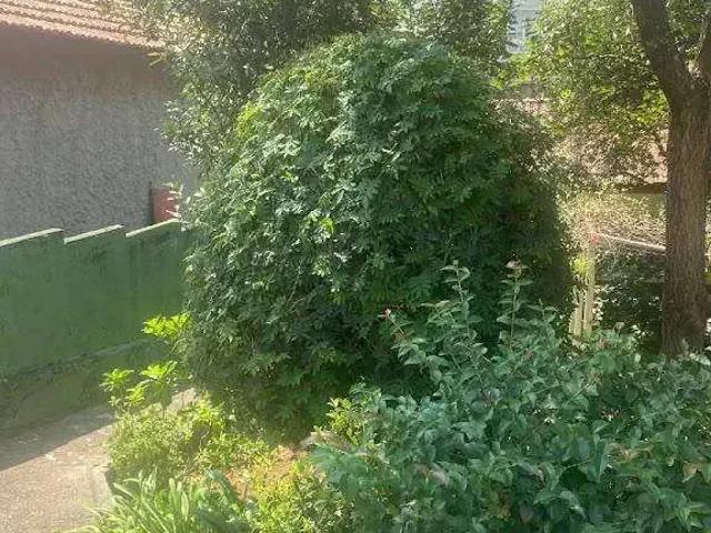 Terreno / Lote para Venda em Guarulhos/SP Gopoúva