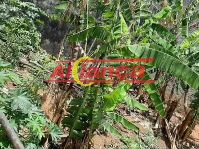 Terreno / Lote para Venda em Guarulhos/SP Jardim Angélica