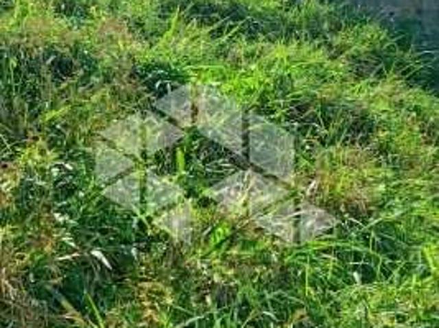 Terreno / Lote para Venda em Guarulhos/SP Jardim Belvedere