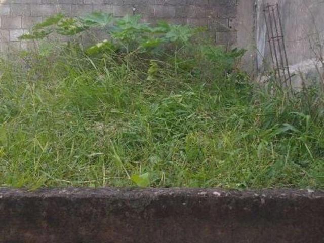 Terreno / Lote para Venda em Guarulhos/SP Jardim dos Olivas