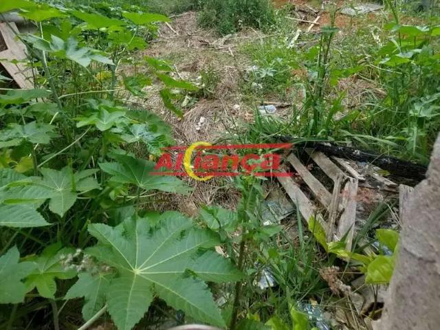 Terreno / Lote para Venda em Guarulhos/SP Jardim Monte Alegre