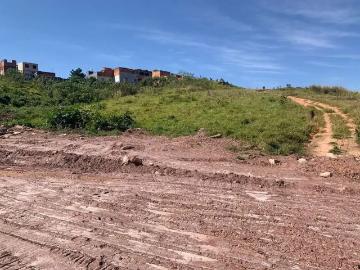 Terreno / Lote para Venda em Guarulhos/SP Jardim São Domingos