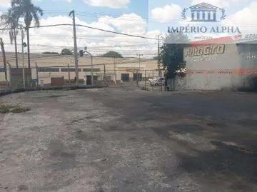 Terreno / Lote para Venda em Guarulhos/SP Jardim São Geraldo