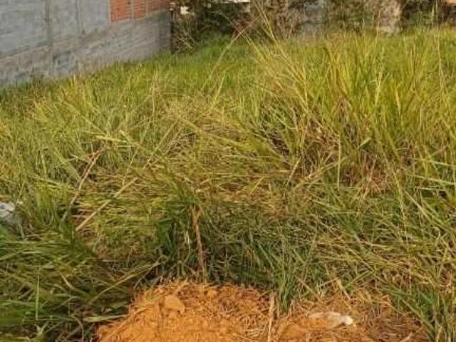 Terreno / Lote para Venda em Guarulhos/SP Jardim São João