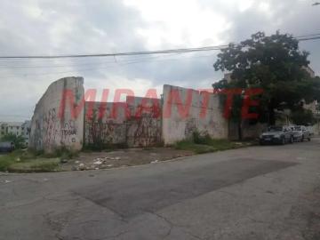Terreno / Lote para Venda em Guarulhos/SP Jardim Santa Cecília