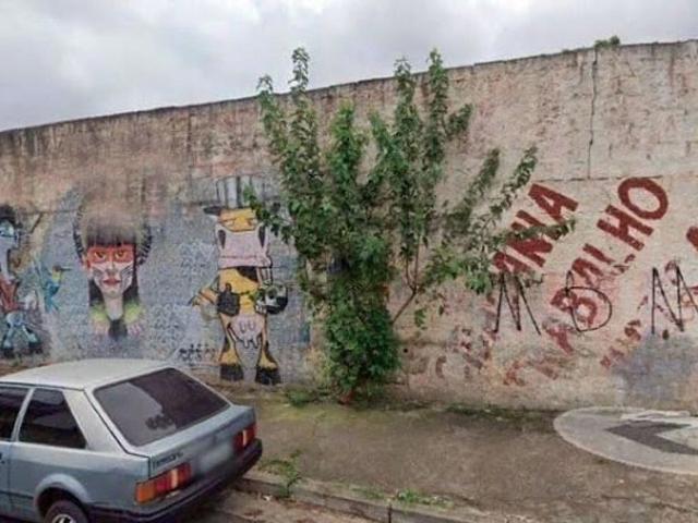 Terreno / Lote para Venda em Guarulhos/SP Jardim Santa Cecília