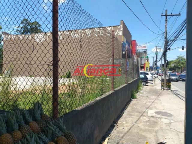 Terreno / Lote para Venda em Guarulhos/SP Jardim Santa Vicência