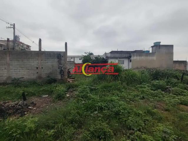 Terreno / Lote para Venda em Guarulhos/SP Jardim Silvestre