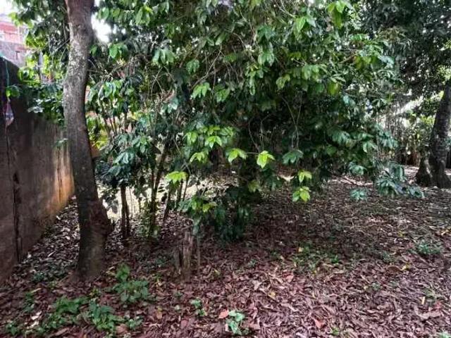 Terreno / Lote para Venda em Guarulhos/SP Jardim Rosa de Franca