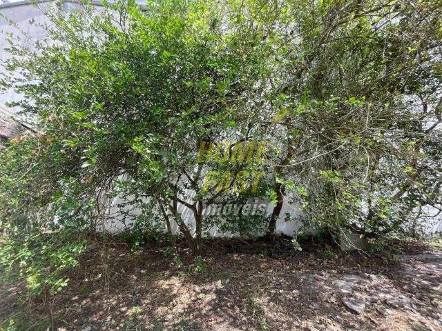 Terreno / Lote para Venda em Guarulhos/SP Jardim Vila Galvão