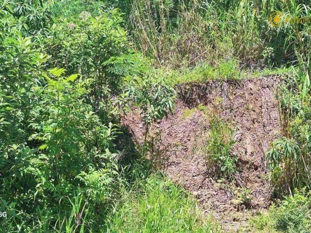 Terreno / Lote para Venda em Guarulhos/SP Parque Continental II