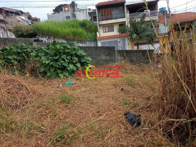 Terreno / Lote para Venda em Guarulhos/SP Parque Continental II