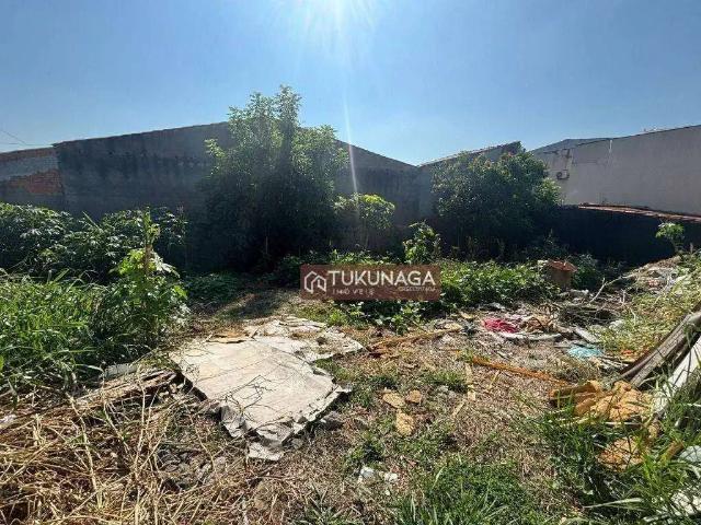 Terreno / Lote para Venda em Guarulhos/SP Parque Continental II